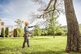 Reliable Atchison, KS Tree Services Solutions